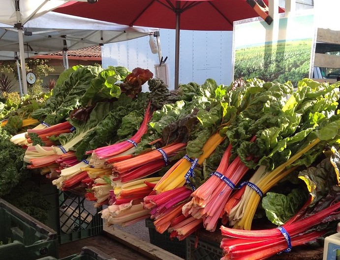 Farm Market Rhubarb